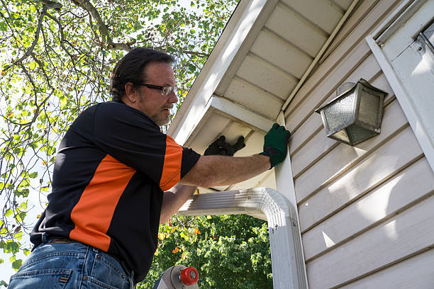 Best Brick Veneer Siding  in Tok, AK